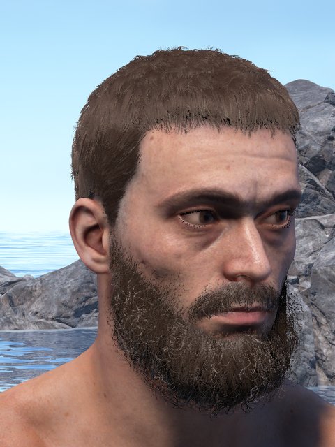 european male, crew cut, full beard